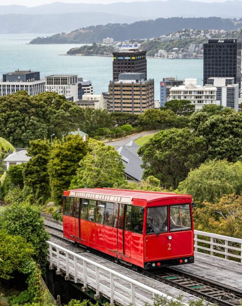 Wellington_Cable_Car_(20240206a)_(53532605708)