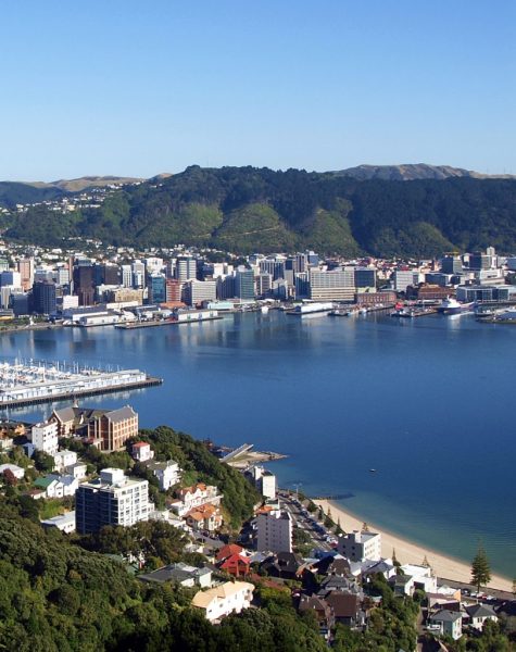 Wellington New Zealand (Panorama View)